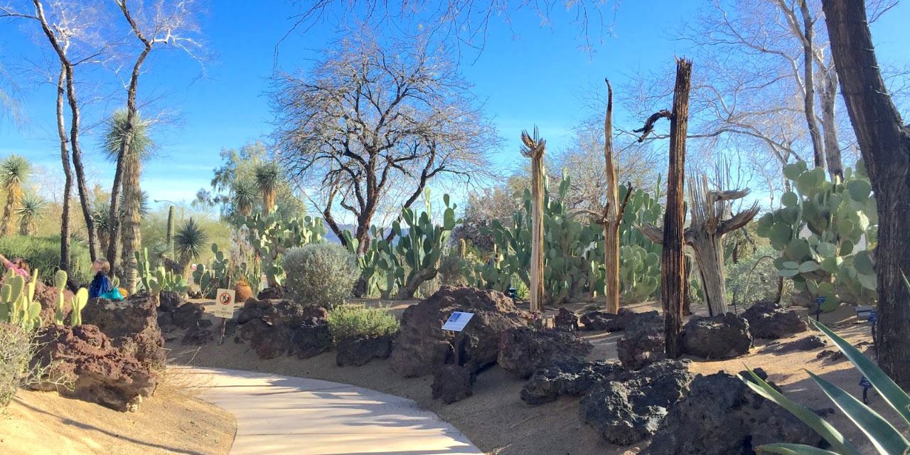 Ethel M Botanical Cactus Garden & Chocolate Factory
