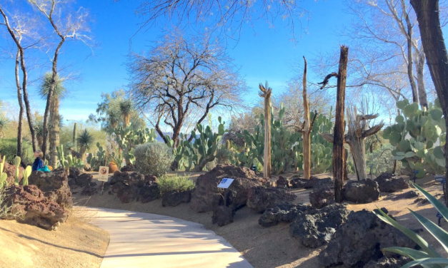 Ethel M Botanical Cactus Garden & Chocolate Factory