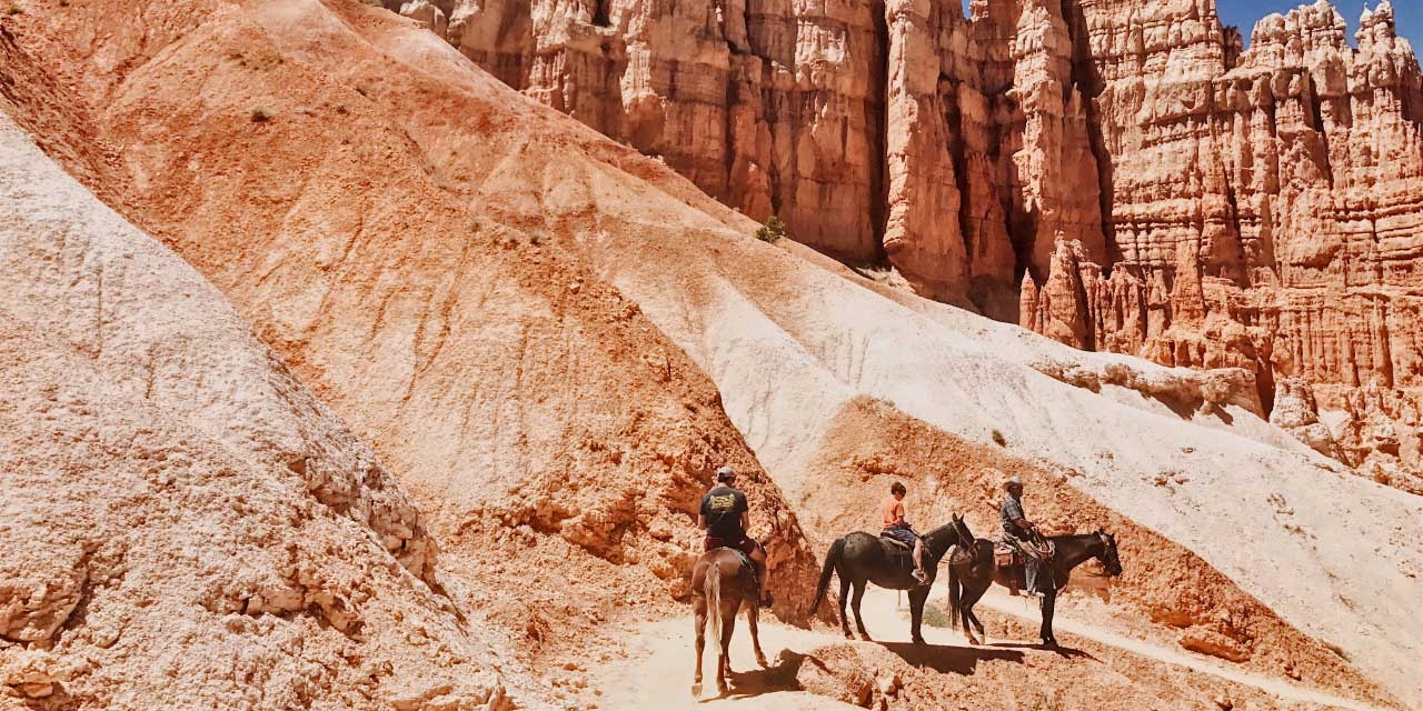 Horseback Riding Tours in Henderson are Real Thing