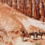 Horseback Riding Tours in Henderson are Real Thing