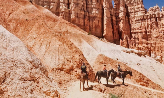 Horseback Riding Tours in Henderson are Real Thing