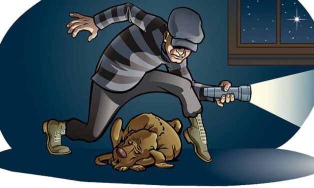 Key Differences in Safety: Henderson vs. Las Vegas